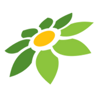 SAKURA APK MOD